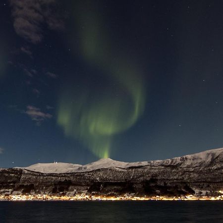Veien Til Senja Apartment Финснес Екстериор снимка